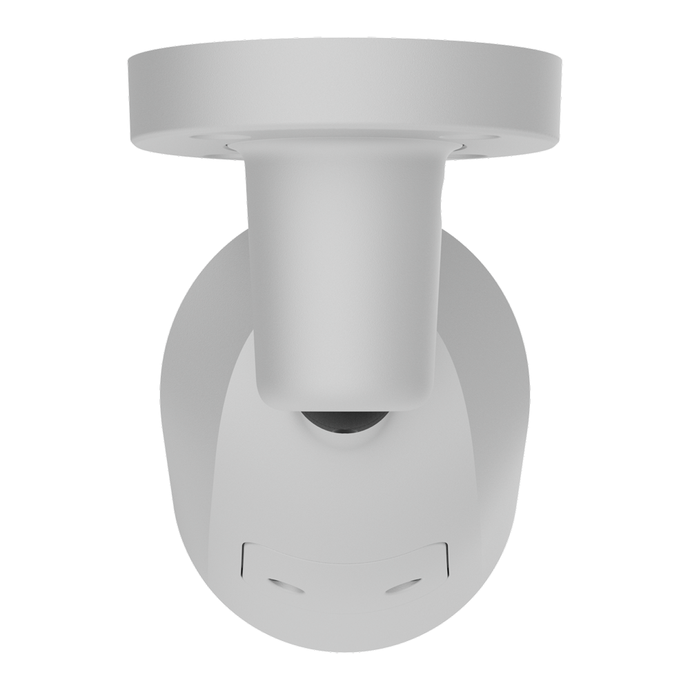 detalle3.png