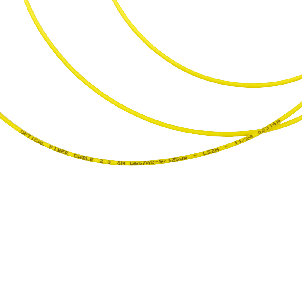 detalle1.png