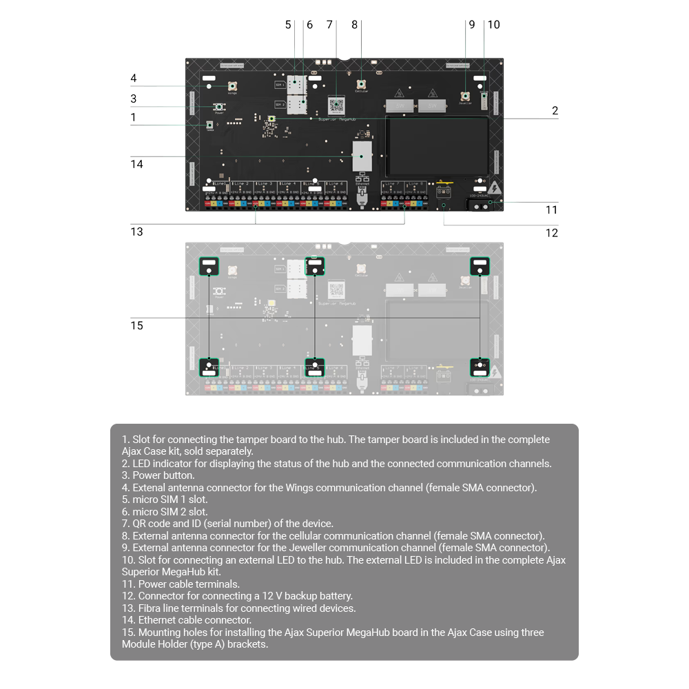 detalle3.png