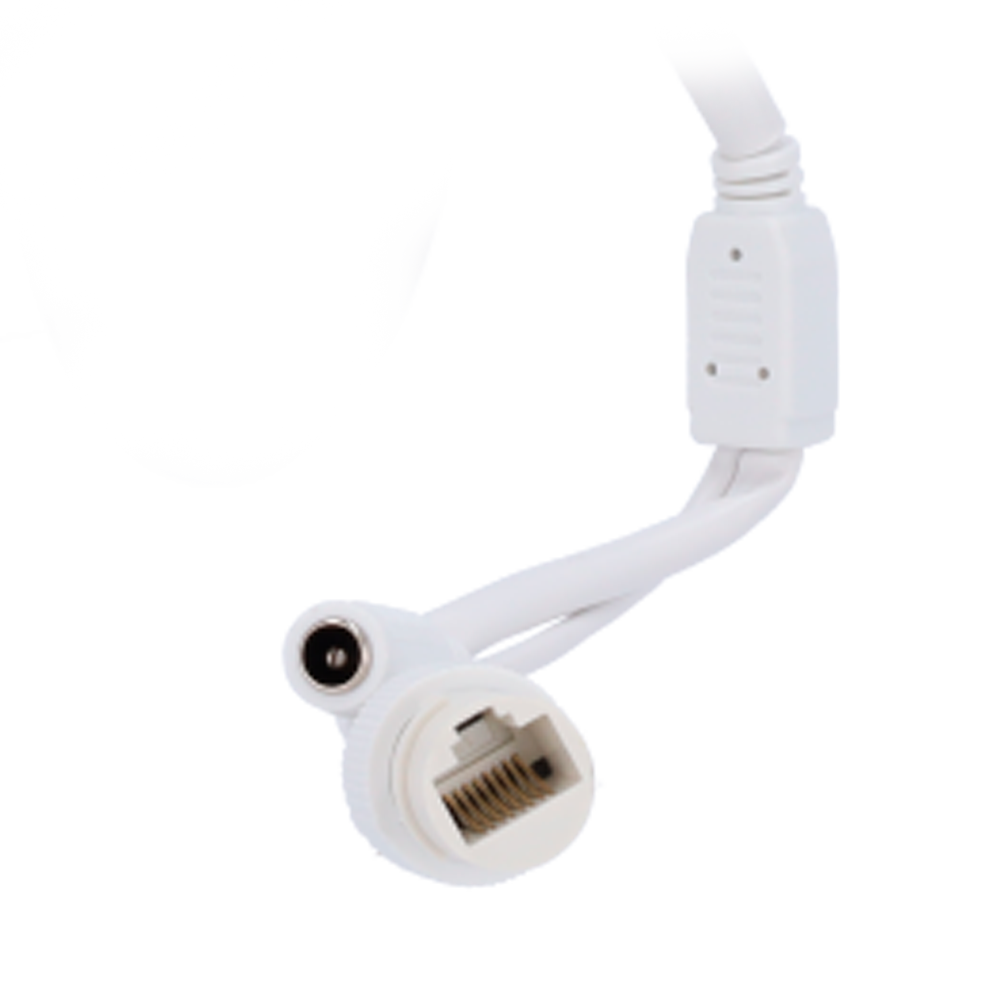 detalle5.png