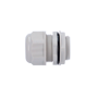 detalle2_thumb.png