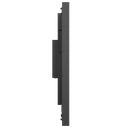 detalle2.png