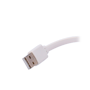 detalle4_thumb.png