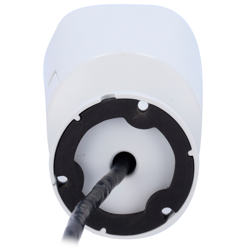 detalle3.png