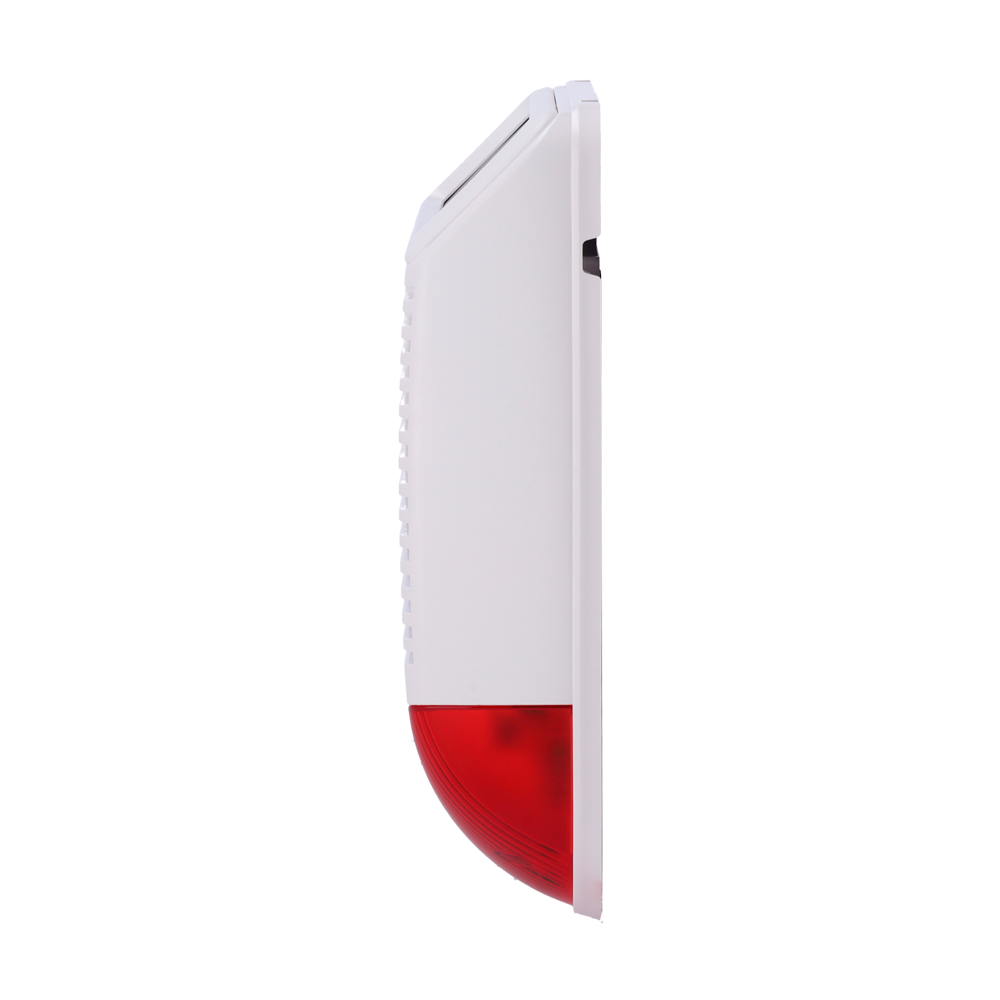 detalle2.png