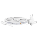 detalle1.png