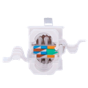 detalle2.png