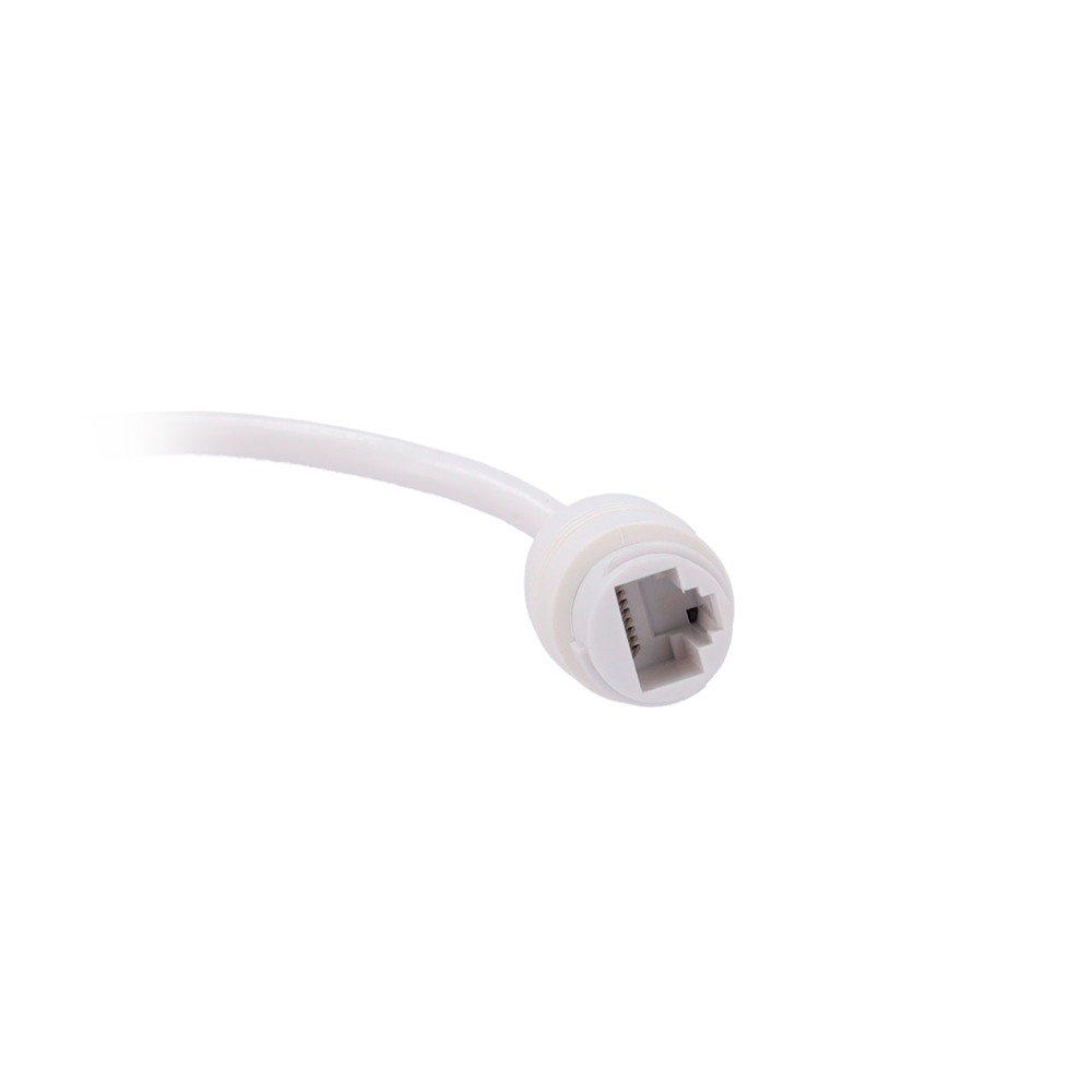 detalle4.png