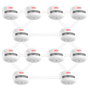 detalle1.png