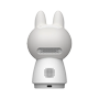 detalle1_thumb.png