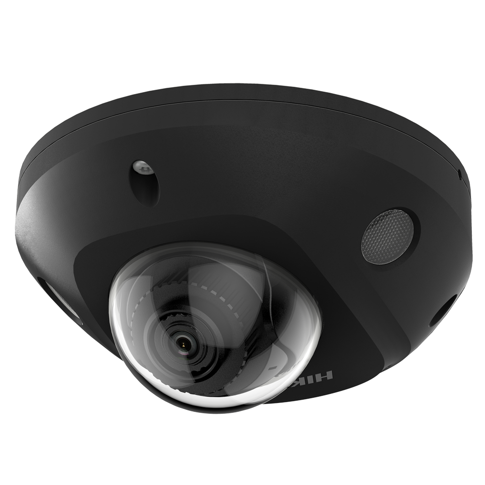 DS-2CD2543G2-IS(2.8mm)(BLACK)