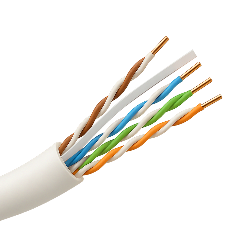 UTP6A-1000-LSZH-B2ca