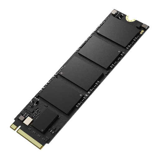 [HS-SSD-E100N-1024G] HS-SSD-E100N-1024G